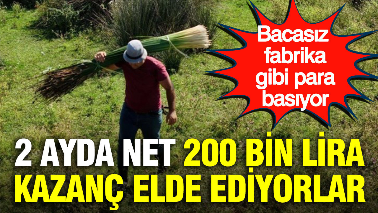 2 ayda net 200 bin lira kazanc elde ediyorlar bacasiz fabrika gibi para basiyor l6mg2IVV